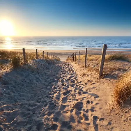 Seaspot * Zandvoort